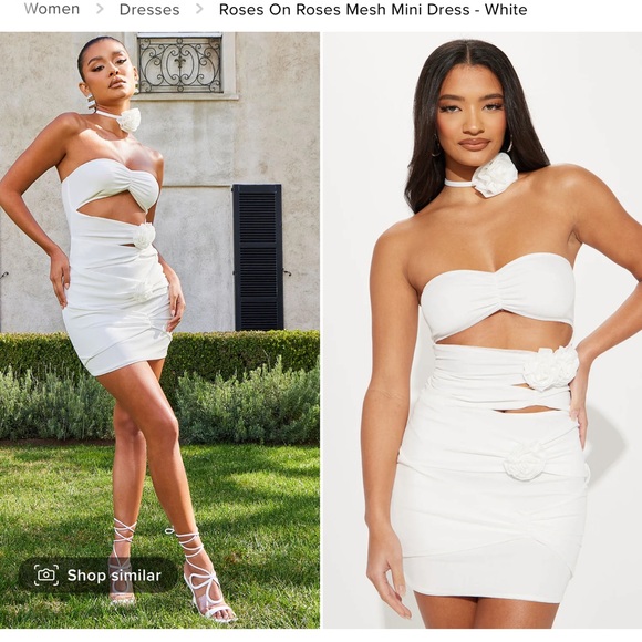 NWT FASHION NOVA ROSES ON ROSES MESH MINI DRESS - Picture 2 of 6